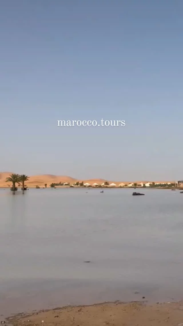 @marocco.tours

Tra il deserto e l'acqua, troverete il vostro angolo di paradiso.

Chi vuole unirsi a noi in questa oasi di tranquillità? 
www.marocco.tours 

#Natura #Relax #Oasi #storybeat #sbcaptions
#marocco #merzouga #tourdamarrakech #deserto #ergchebbi