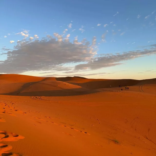 🌍 Scopri la magia del Marocco con noi! 🌅
Unisciti al nostro esclusivo tour di gruppo da Marrakech al deserto di Merzouga e vivi un’esperienza indimenticabile:

✨ Cosa ti aspetta?

Esplora la vivace Medina di Marrakech e i suoi suq.

Attraversa i panorami mozzafiato delle montagne dell'Atlante.

Visita le antiche kasbah come Ait Ben Haddou, patrimonio UNESCO.

Vivi l'incanto del deserto di Merzouga con un'escursione in cammello e una notte sotto le stelle in un accampamento berbero.

📅 Date limitate! Prenota il tuo posto e condividi questa avventura con nuovi amici.

📩 Contattaci ora per scoprire il programma completo e assicurarti un posto!

info@marocco.tours 
WhatsApp +393334706249

https://marocco.tours/it/package/tour-di-gruppo-8-giorni-in-marocco-il-grande-sud/

@marocco.tours

#tourinmarocco 
#tourdamarrakech 
#tourdigruppo